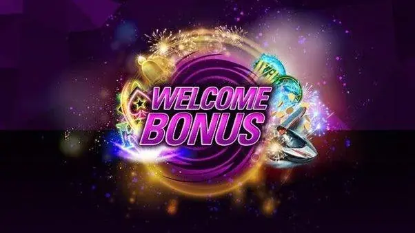 Välkomstbonus hos Paylevo casino